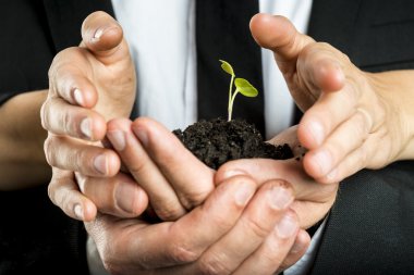 Male and female business partners nurturing a new plant united t