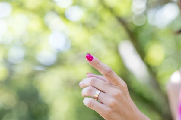 Woman displaying a ladybird on her finger — Stock Photo, Image