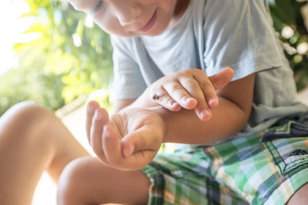 Niño pequeño examinando una mariquita —  Fotos de Stock