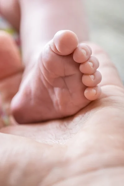 Vida inocente - pequeño pie de bebé en la palma de la mano masculina — Foto de Stock