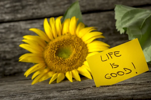 Yellow card with a Life is good message leaning on a beautiful b — Stock Photo, Image