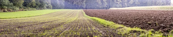 Beautiful panorama view of agricultural area — Stock Photo, Image