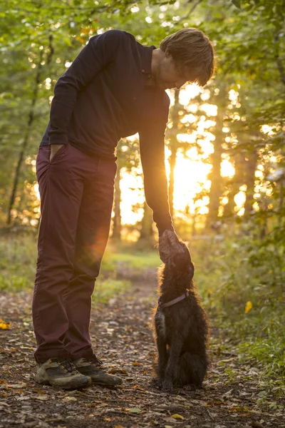 人と自然を楽しんでいる彼の犬 — ストック写真