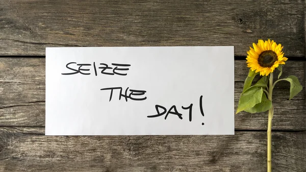 Seize the day message written on white card — Stock Fotó