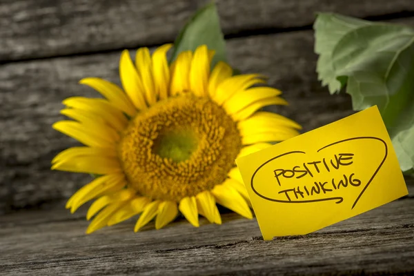 Positive thinking message next to a beautiful blooming yellow su — Stock Photo, Image