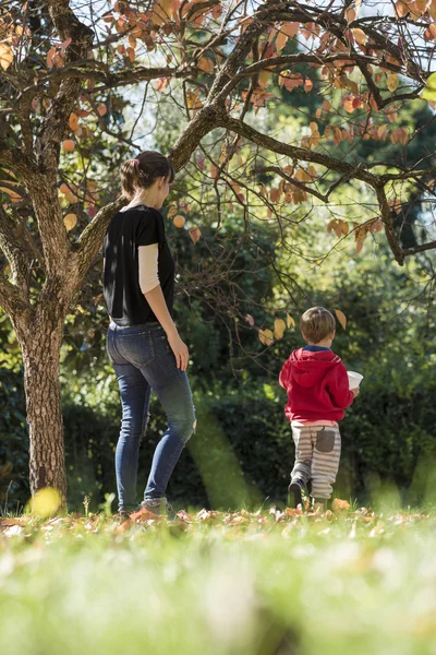 Joven madre disfrutando de un día en un parque de otoño con su hijo —  Fotos de Stock