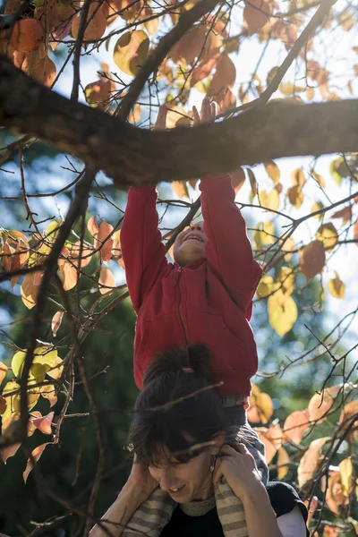 Madre sosteniendo a su hijo pequeño sobre sus hombros mientras él alcanza —  Fotos de Stock