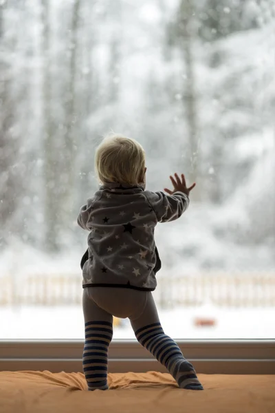 Kleinkind steht gegen Fenster und schaut hinaus — Stockfoto