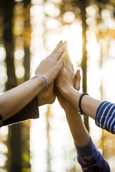 Closeup of four female hands joined together high up in the air — Stock Photo, Image