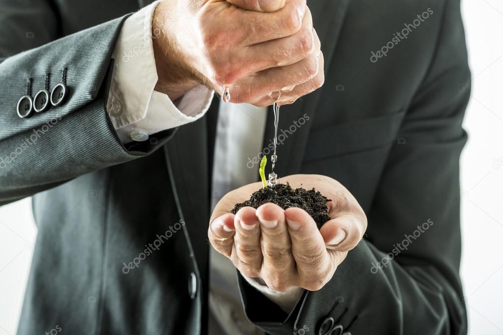 Businessman watering and nurturing a green sprout growing from a