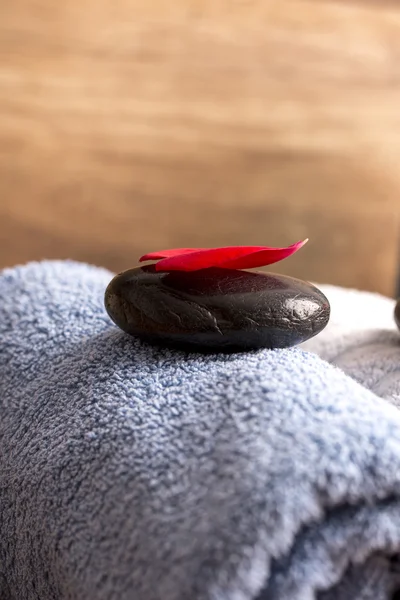 Pétale de rose rouge couché sur pierre zen noire — Photo