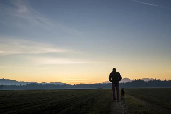 Vista desde atrás de un hombre caminando con su perro negro al atardecer — Foto de Stock