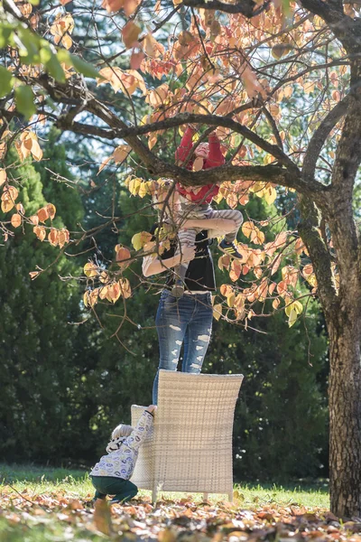 Ibu berdiri di kursi di bawah pohon khaki memegang balita nya — Stok Foto