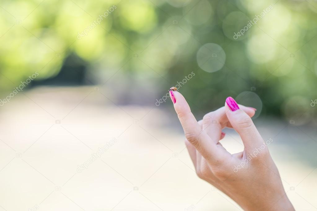 Ladybug sitting on an index finger of a female hand with bright 