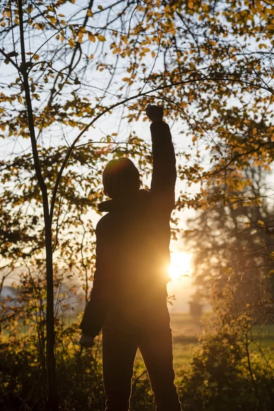 Homem em pé na floresta de frente para um pôr-do-sol — Fotografia de Stock