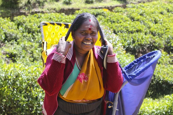 Trabalhador da plantação de chá feminino — Fotografia de Stock