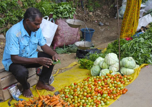 Produzir Fornecedor no Sri Lanka Preparando Betel Nut — Fotografia de Stock