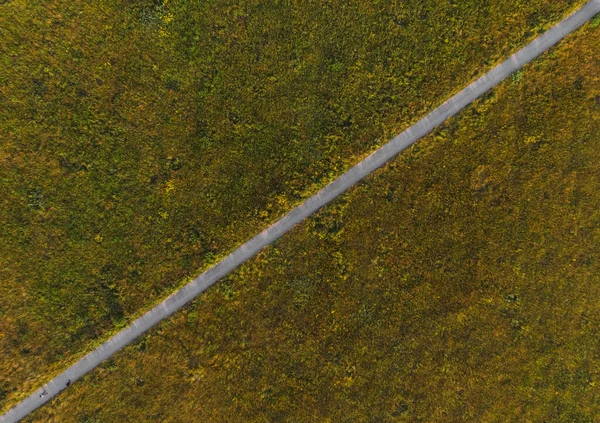 Aerial Top Blick Auf Langen Weg Zwischen Den Feldern Sonnigen — Stockfoto