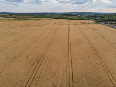 Buğday tarlalarına hava bakımı