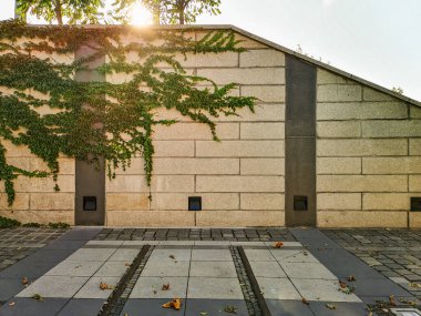 Sarmaşık dalları ve beyaz güneşli gökyüzü olan beton bir duvar.