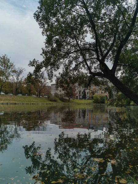 Şehir Merkezindeki Nehirde Yansıyan Ağaç Tacı — Stok fotoğraf