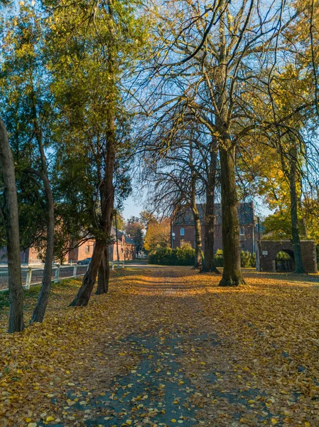Long Path Autumn Trees Full Fall Leaves — Stock Photo, Image