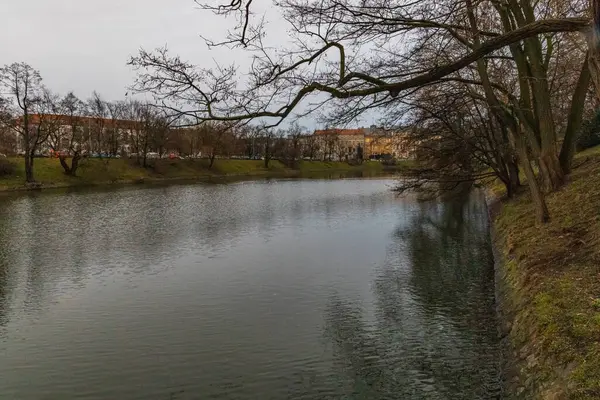 Wroclaw Januari 2020 Stadsgracht Nabij Klein Park Bewolkte Dag — Stockfoto