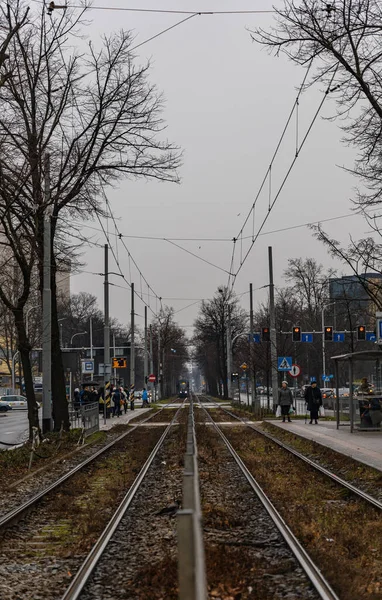 Wroclaw Ocak 2020 Yüksek Ağaçlar Yollar Arasındaki Uzun Tramvay Hattı — Stok fotoğraf