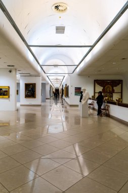 Poznan, Polonya - 15 Şubat 2020 Poznan Ulusal Müzesi