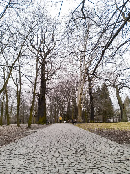 Lodz Polonya Şubat 2020 Etrafında Ağaçlar Olan Küçük Parktaki Taş — Stok fotoğraf