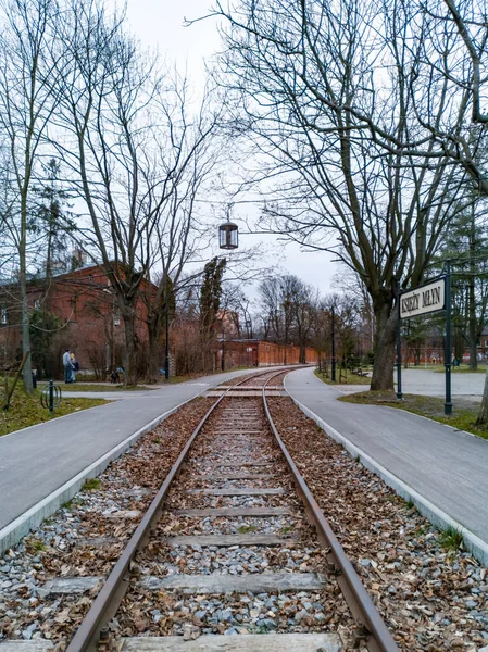 Lodz Poland February 2020 Long Single Train Rails Ksiezy Mlyn — Stock Photo, Image