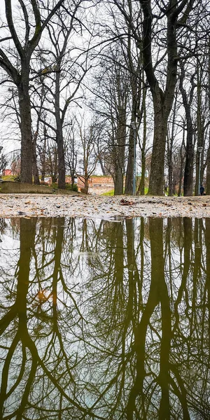 Long Path Small Park Reflected Small Puddle — Stock fotografie