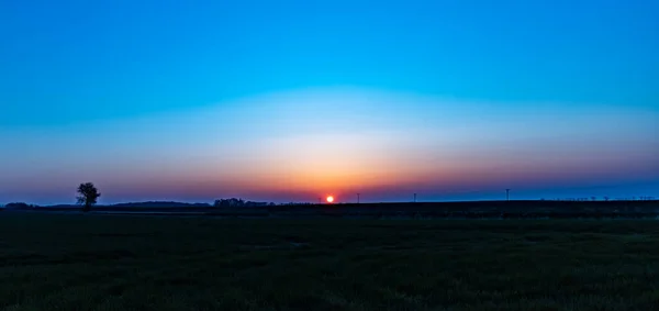 巨大な緑の畑の上で朝の美しい日の出 — ストック写真