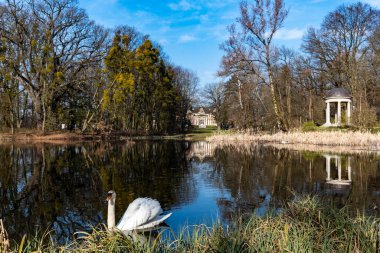 Pawlowice Wroclaw, Polonya - 28 Mart 2020 Pawlowice Gölü ile güzel ve renkli park 