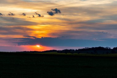 Bulutlu günbatımında yeşil ve sarı colza tarlaları