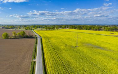 Hava aracı bulutlu bir günde, Colza 'nın sarı tarlaları arasında uzun bir yola bakıyor.