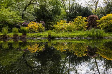 Küçük göletin etrafındaki ağaçlar ve çalılar suda yansıyor.