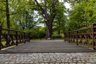 Ağaçlar ve çalılarla dolu eski parktaki küçük tahta köprü.