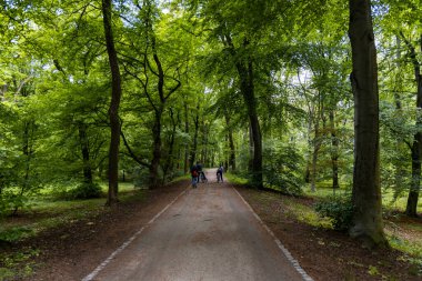 Yeşil ağaçlarla ve bisikletli çalılarla dolu parkta uzun bir yol.