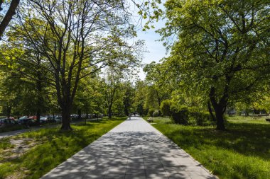 Wroclaw, Polonya - 8 Mayıs 2020: Ağaçların ve bankların bulunduğu uzun caddenin yanındaki uzun yol