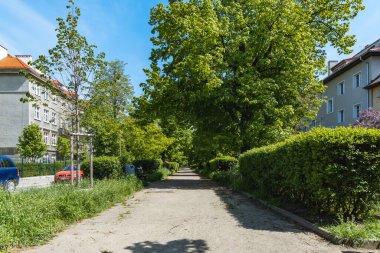 Wroclaw, Polonya - 8 Mayıs 2020: İki yol arasında çalılar ve banklar olan uzun bir yol 