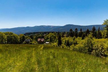 Szklarska Poreba 'daki ağaçların üzerinden Karkonosze Dev Dağları Panoraması
