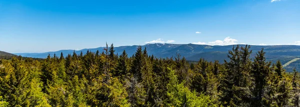 High trees with panorama of Jizery mountains seen from high rocks