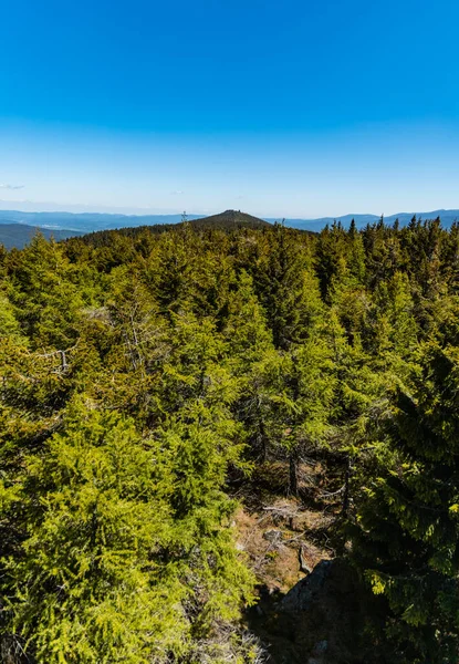 High trees with panorama of Jizery mountains seen from high rocks