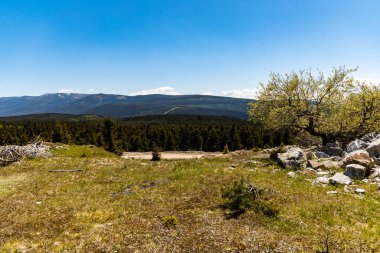 Karkonosze Dev Dağları 'nın manzarası Jizera Dağları' nın tepesinde.
