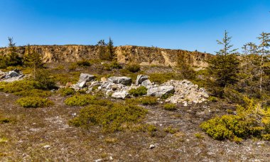 Jizera dağlarında küçük ağaçlar ve çalılar olan yeşil bir meydan.