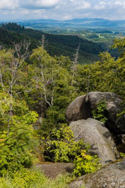 Rudawy Janowickie dağlarının manzarası güneşli bir günde yüksek ağaçlarla dolu.