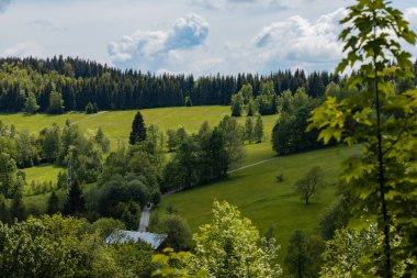Big glade full of grass and trees around in Rudawy Janowickie mountains