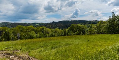 Big glade full of grass and trees around in Rudawy Janowickie mountains