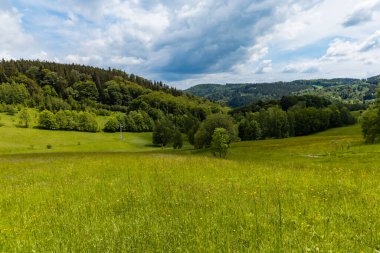 Big glade full of grass and trees around in Rudawy Janowickie mountains